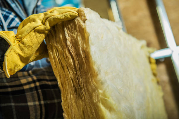 Best Residential Insulation in Cutler Bay, FL